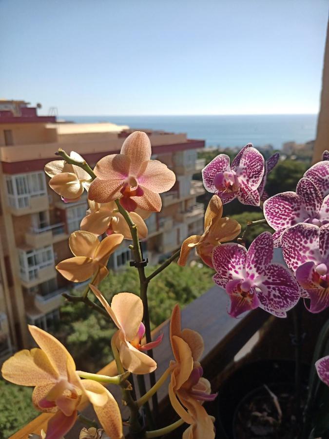 Sweet Home Benalmadena, Estudio Con Vistas Al Mar Y Excelente Conexion Wifi, Para No Fumadores, Con Piscinas, Sea Views, With Swimming Pools, Completely Renovated, Ideal For Older People, Bright With Morning Sun, No Smoking Exteriér fotografie